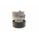 Натяжник ременя генератора Ford Mondeo IV/Peugeot 407 2.0TDCi/2.2 HDi 06-