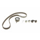 Комплект ГРМ Ford Mondeo/Focus 1.4/1.6i 03-/Volvo C30/S40/V50 1.6 05-12 (22x117z)