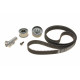 Комплект ГРМ Audi A4/A6/ VW Passat 2.4-2.8 95-05 (30x253z)